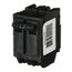 Q-Line THQL Series 2 Pole Plug-In Circuit Breaker (120/240V, 70A)