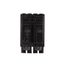 Q-Line THQL Series 2 Pole Plug-In Circuit Breaker (120/240V, 90A)