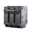 Q-Line THQL Series 3 Pole Plug-In Circuit Breaker (240V, 60A)