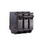 Q-Line THQL Series 3 Pole Plug-In Circuit Breaker (240V, 80A)
