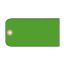 Green Synthetic Paper Blank Tag, BPT4G