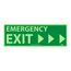 5" x 14" Plastic Emergency Glow-In-The-Dark Exit Sign, GL302R