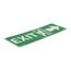5" High Exit Plastic Exit Sign, GL308R