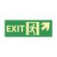 5" High Exit Plastic Exit Sign, GL312R