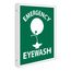 10" x 8" Emergency Eye Wash Plastic First Aid Sign, MSCTV2