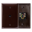 Midsize Telephone Wall Jack, 6p4c (Brown)