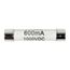 Fuse for DM525 (600 mA, 1000V)