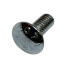 Carriage Bolt