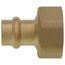 1/2" AM1 Valve Tail Piece w/ Union & Press Fittings (Low Lead)