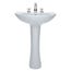 Cadet 24 " Pedestal Sink w/ 8 " Hole Spacing (White)