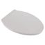 Contemporary Slow-Close & Easy Lift-Off Elongated Toilet Seat for VorMax CleanCurve Style Rims (White)