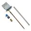 Single Pole, Double Throw Immersion High Limit Control, 100110072