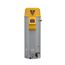 50 Gallon BTX-100 100,000 BTU Cyclone Xi Power Direct Vent Condensing Commercial Gas Water Heater w/ Modulating Burner (NG/LP)