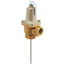 Temperature and Pressure Relief Valve (T&P), AP12035-1