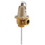 T&P Relief Valve, AP12574B-2