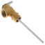 Temperature and Pressure Relief Valve (T&P)