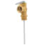 Temperature and Pressure Relief Valve (T&P)