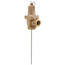 Temperature and Pressure Relief Valve (T&P), AP13849
