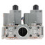 Natural Gas Dual Parallel Gas Valve (24V)