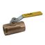 3" FNPT 2-Piece Ball Valve w/ Stainless Steel Ball & 2-1/4" Stem