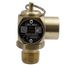 1/2" MNPT x 1/2" FNPT RVS52 232 LBS/HR Steam Safety Relief Valve (30 psi)