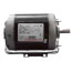 6-1/2" Split Phase Resilient Base Ball Bearing Motor (115/208-230V, 1140 RPM, 1/3 HP)
