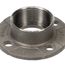 Flange Stainless Steel 2.5X2 Npt F10 Lo, 874116-623