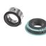 Seal 1.625 Ab2 C-Stainless Steel Carbon W/O Cover, 8975002-334
