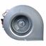 Blower Assembly, AS-101931-06