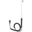 8" J-Type Liquid Temperature Probe w/ 5.75' Wire
