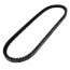 TorqTitan Gripnotch Belt w/ 27.3" Pitch