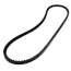 TorqTitan Gripnotch Belt w/ 41.3" Pitch