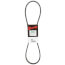 TorqTitan Gripnotch Belt w/ 47.3" Pitch
