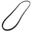TorqTitan Gripnotch Belt w/ 48.3" Pitch