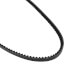 TorqTitan Gripnotch Belt w/ 51.3" Pitch