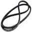 TorqTitan Gripnotch Belt w/ 51.3" Pitch