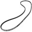 TorqTitan Gripnotch Belt w/ 61.3" Pitch