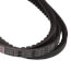 TorqTitan Gripnotch Belt w/ 69.3" Pitch