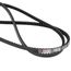 TorqTitan Gripnotch Belt w/ 76.3" Pitch
