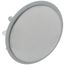 2" OD Sink Hole Cover w/ Washer (Stainless Steel), B10202