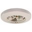 6" Smoke Detector Base (24V), B114LPBT