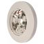 6" Smoke Detector Base (24V), B114LPBT