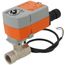 3/4" B2 Series, 2-Way CCV Valve Assembly, 120VAC (14.0 Cv)