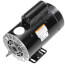 1/3 HP 230v Pool Pump Motor, 1 PH, 3600 RPM, 56Y Frame, ODP