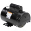 1/3 HP 230v Pool Pump Motor, 1 PH, 3600 RPM, 56Y Frame, ODP