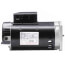 1.5 HP 208-230v Pool Pump Motor, 1 PH, 3600 RPM, 56Y Frame, ODP