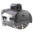 3/4 HP 230/115v Pool Pump Motor, 1 PH, 3600 RPM, 56Y Frame, ODP
