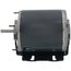 Fan and Blower Motor - 1/6 HP, 1725 RPM, 1 PH, CCW (115V)