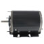 Fan & Blower Motor - 1/2 HP, 1725 RPM, 1 PH, Selective CCW (115V)