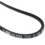 21/32" x 7/16" Super Gripbelt w/ 48.8" Pitch